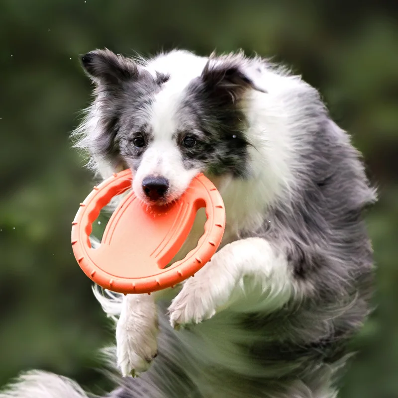 Frisbee Freestyle Disc - Durable Dog Flying Disc Toy Pet