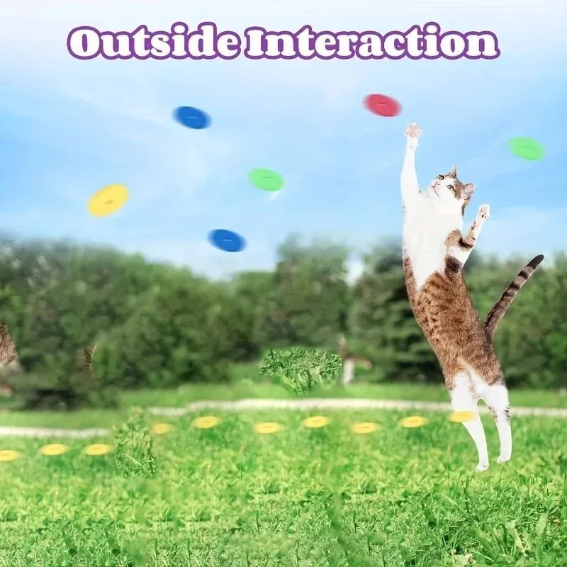 Funny Cat Toys Creative Turnip - Frisbee Freestyle Disc 评论和价格