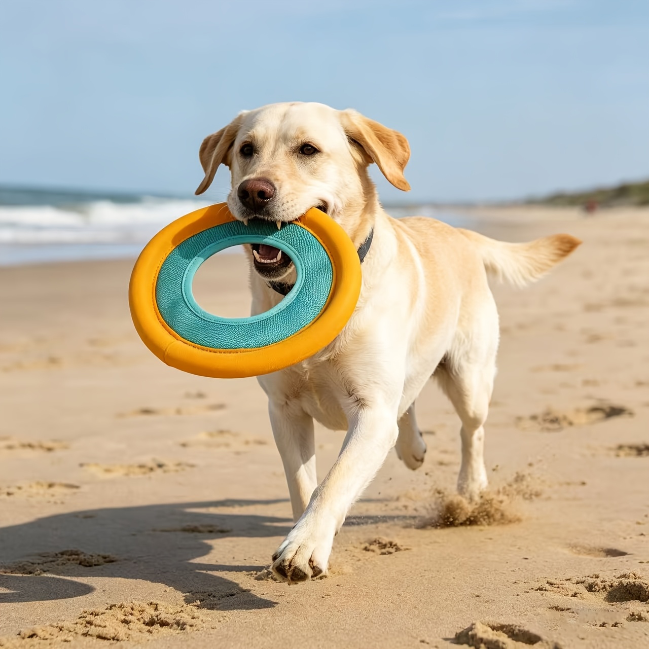 Floating Dog Frisbee, Outdoor  - Frisbee Freestyle Disc 评论和价格