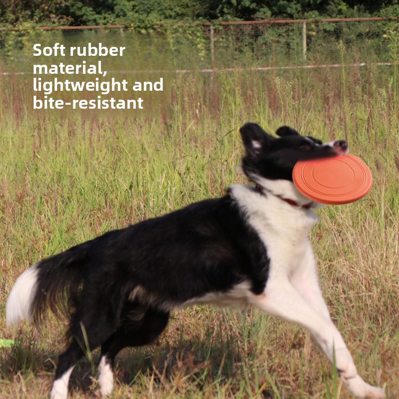 Soft Flying, Dog Toys Interact - Frisbee Freestyle Disc 评论和价格