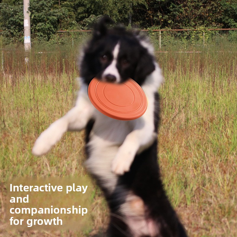 Soft Flying, Dog Toys Interact - Frisbee Freestyle Disc 评论和价格
