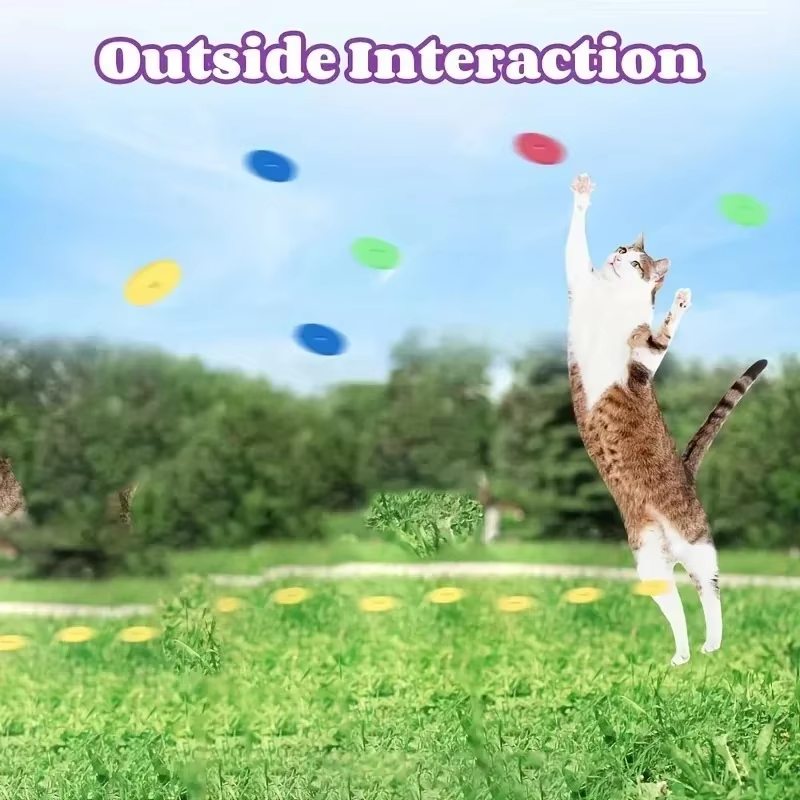 Funny Cat Toys Creative Turnip - Frisbee Freestyle Disc 评论和价格