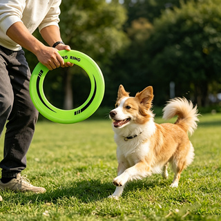 1PC Durable Hollow Ring Frisbe - Frisbee Freestyle Disc 评论和价格