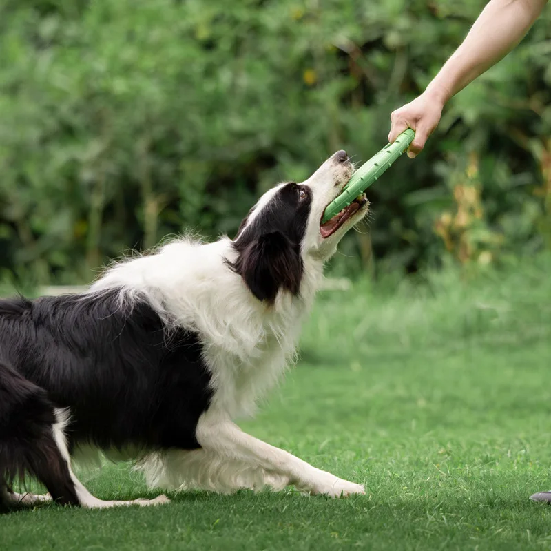 Durable Dog Flying Disc Toy Pe - Frisbee Freestyle Disc 评论和价格
